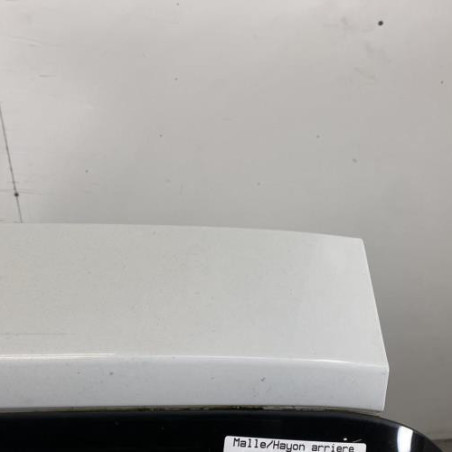 Malle/Hayon arriere RENAULT CLIO 3