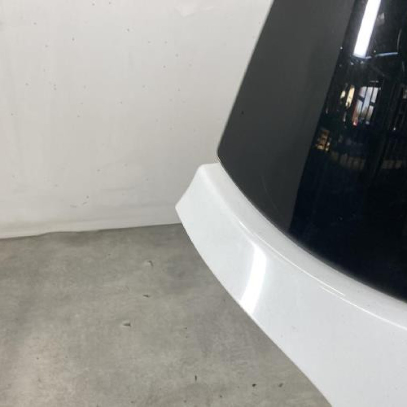 Malle/Hayon arriere RENAULT CLIO 3 Photo n°4