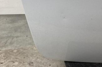 Malle/Hayon arriere RENAULT CLIO 3