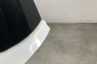 Malle/Hayon arriere RENAULT CLIO 3