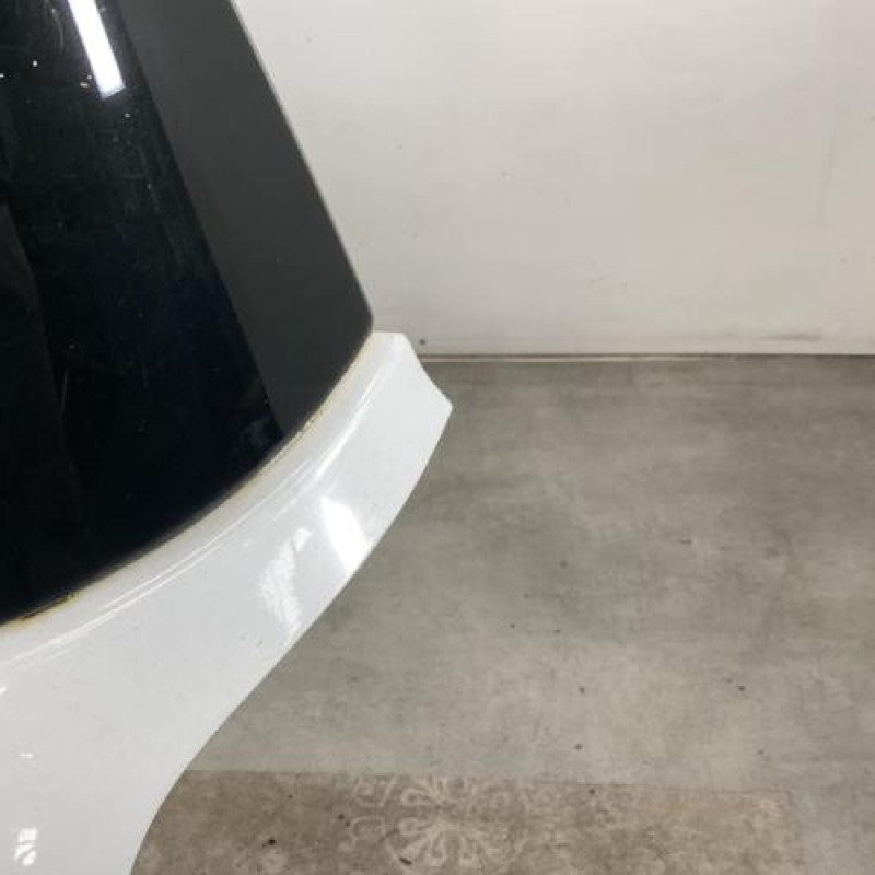 Malle/Hayon arriere RENAULT CLIO 3 Photo n°8