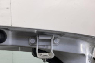 Malle/Hayon arriere RENAULT CLIO 3