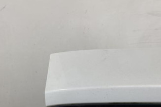 Malle/Hayon arriere RENAULT CLIO 3