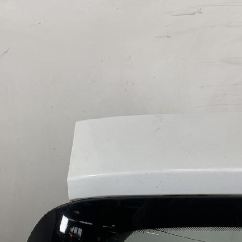 Malle/Hayon arriere RENAULT CLIO 3 Photo n°14