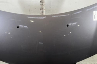 Capot RENAULT CLIO 3 Photo n°1