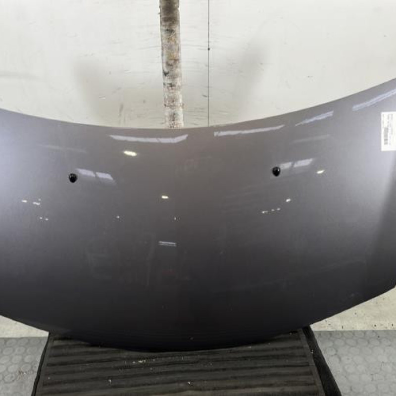 Capot RENAULT CLIO 3 Photo n°1