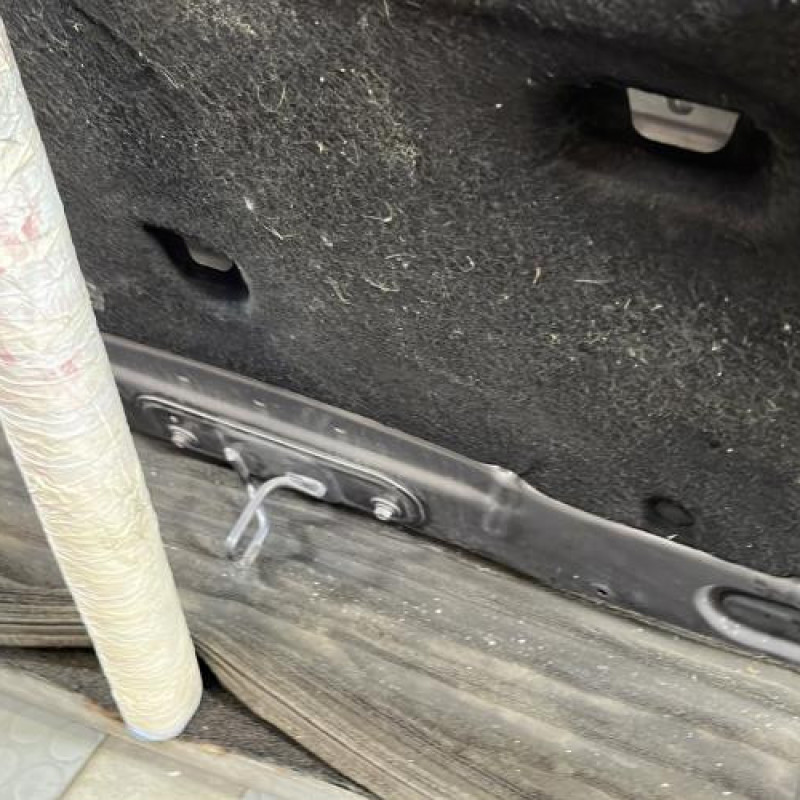 Capot RENAULT CLIO 3 Photo n°8