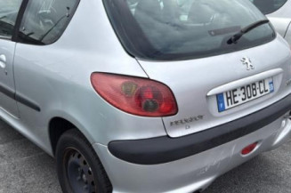 Antenne PEUGEOT 206