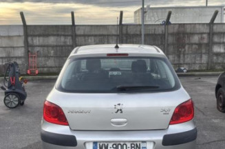 Arret de porte avant gauche PEUGEOT 307