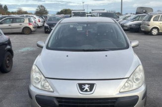 Arret de porte avant gauche PEUGEOT 307