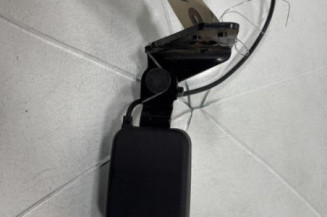 Attache ceinture arriere gauche PEUGEOT 207 Photo n°1