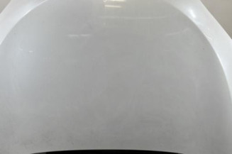 Capot RENAULT MEGANE 3 Photo n°1