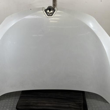 Capot RENAULT MEGANE 3 Photo n°1