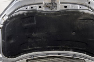 Capot VOLKSWAGEN POLO 4