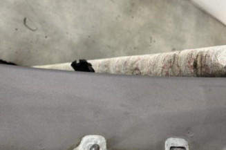 Porte arriere gauche RENAULT CLIO 3