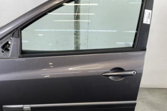 Porte avant gauche RENAULT CLIO 3 Photo n°1