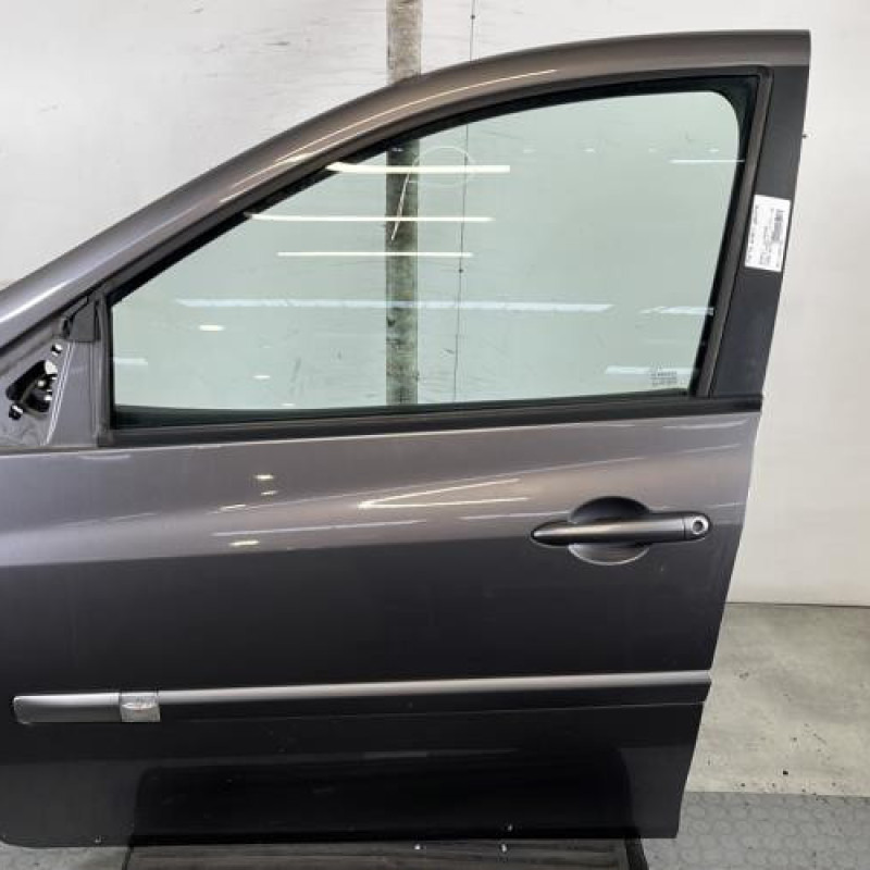 Porte avant gauche RENAULT CLIO 3 Photo n°1
