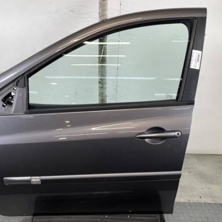 Porte avant gauche RENAULT CLIO 3 Photo n°1
