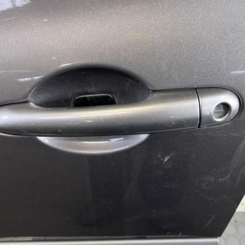 Porte avant gauche RENAULT CLIO 3 Photo n°2