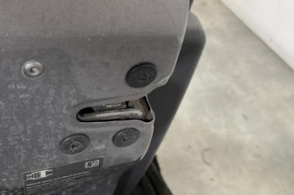 Porte avant gauche RENAULT CLIO 3