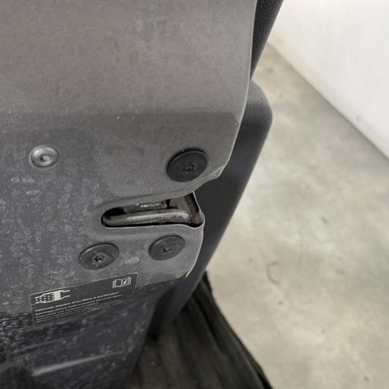 Porte avant gauche RENAULT CLIO 3 Photo n°3