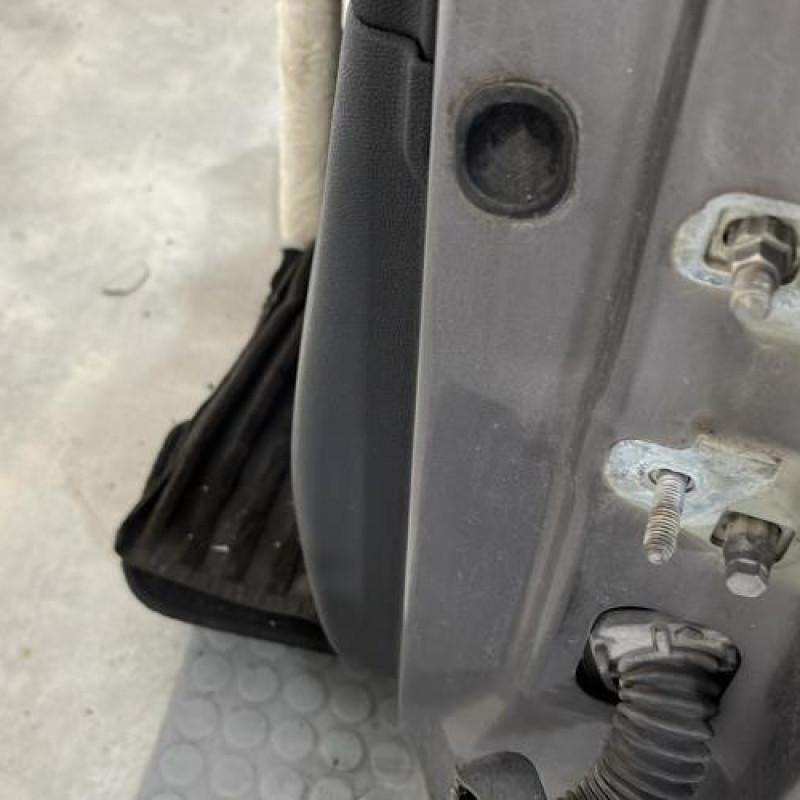 Porte avant gauche RENAULT CLIO 3 Photo n°4