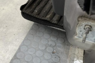 Porte avant gauche RENAULT CLIO 3