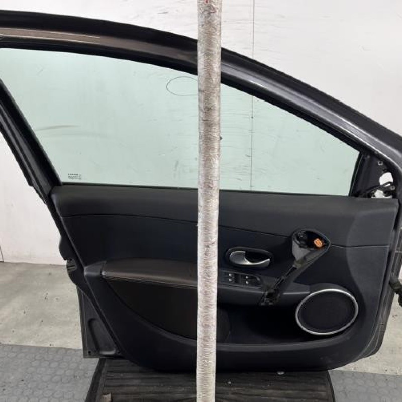 Porte avant gauche RENAULT CLIO 3 Photo n°6