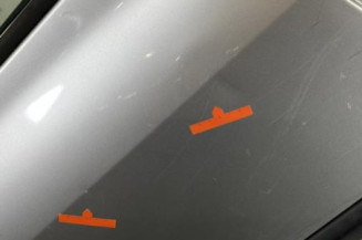 Porte arriere droit RENAULT CLIO 3