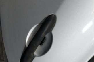 Porte arriere gauche RENAULT CLIO 3