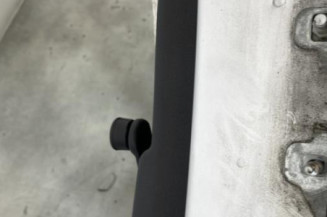 Porte arriere gauche RENAULT CLIO 3