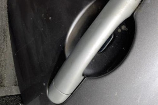 Porte arriere gauche RENAULT CLIO 3