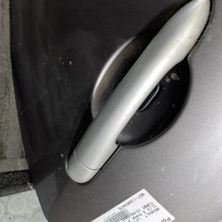 Porte arriere gauche RENAULT CLIO 3