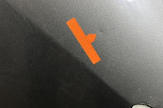 Porte arriere gauche RENAULT CLIO 3