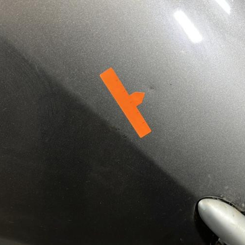 Porte arriere gauche RENAULT CLIO 3 Photo n°3