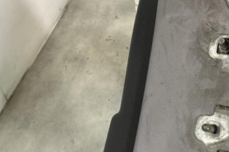 Porte arriere gauche RENAULT CLIO 3