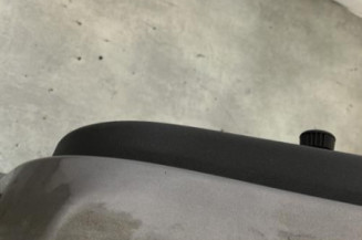 Porte arriere gauche RENAULT CLIO 3