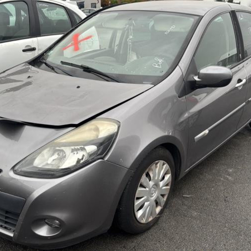 Porte arriere gauche RENAULT CLIO 3 Photo n°7