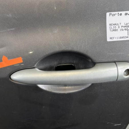 Porte avant gauche RENAULT CLIO 3