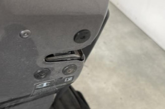 Porte avant gauche RENAULT CLIO 3