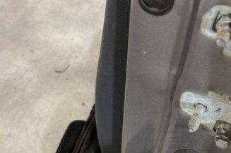 Porte avant gauche RENAULT CLIO 3