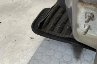 Porte avant gauche RENAULT CLIO 3