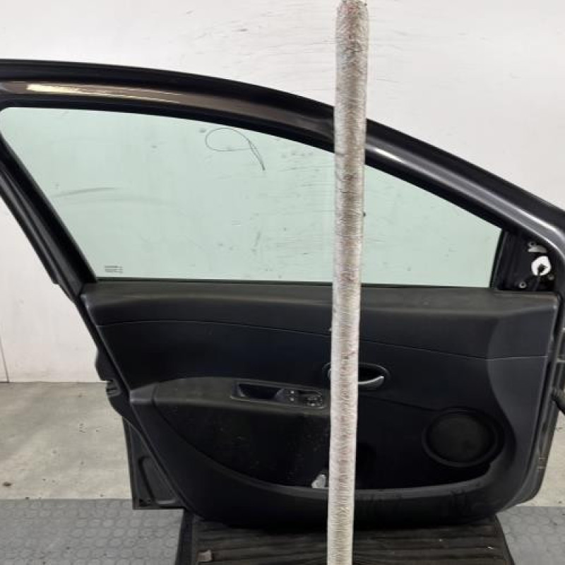 Porte avant gauche RENAULT CLIO 3 Photo n°6