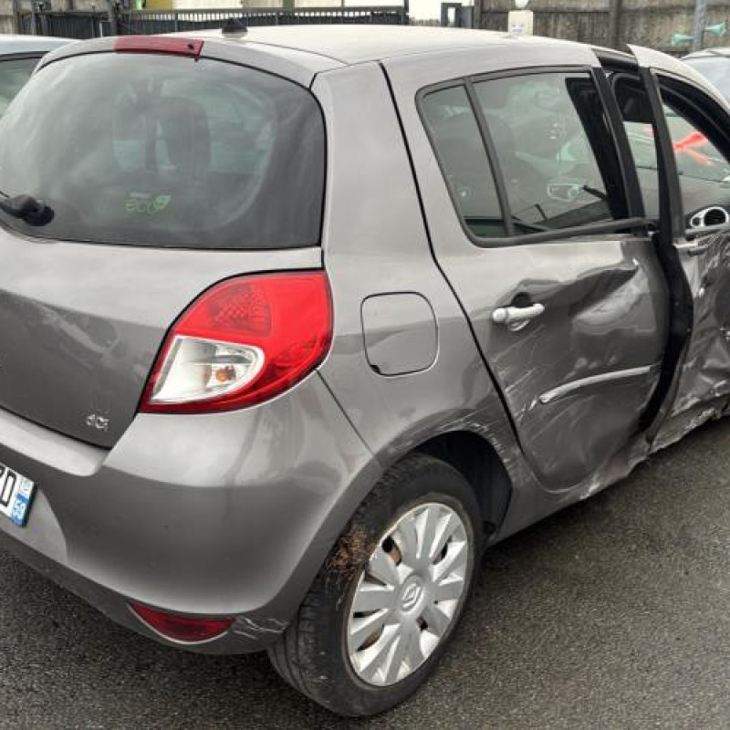 Porte avant gauche RENAULT CLIO 3 Photo n°9