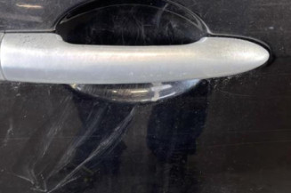 Porte avant droit RENAULT MODUS