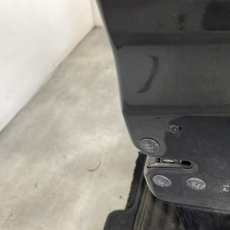 Porte avant droit RENAULT MODUS Photo n°4