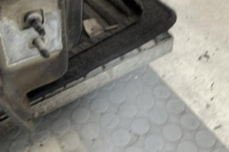 Porte avant droit RENAULT MODUS