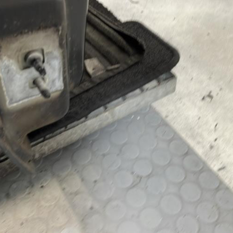 Porte avant droit RENAULT MODUS Photo n°6