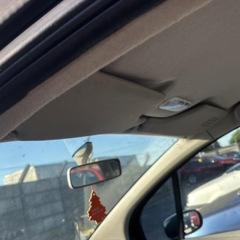 Porte avant gauche RENAULT MODUS Photo n°17