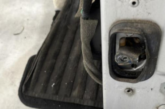 Porte arriere gauche RENAULT LAGUNA 3